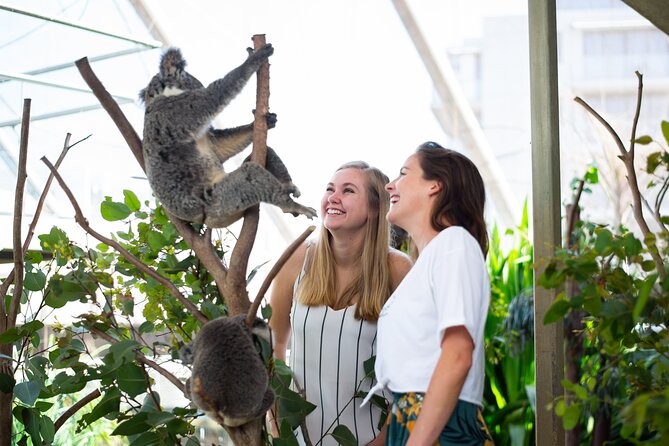 Sydney Attractions Pass: SEA LIFE Aquarium, Sydney Tower Eye, WILD LIFE Zoo and Madame Tussauds - Sydney Tower Eye at 250 metres: the quick skyline shortcut
