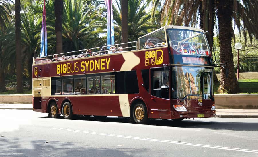 Sydney: Big Bus Hop-On Hop-Off Tour with Optional Cruise - Hop-on the harbour: Captain Cook cruise from Wharf 6 to Manly