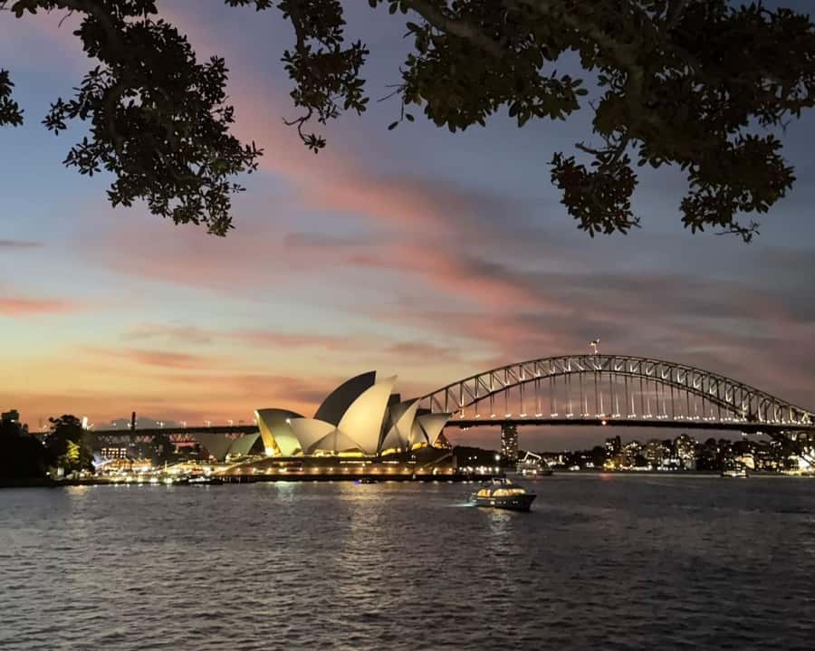 Sydney: Big Bus Panoramic Night Tour by Open-Top Bus - Where you meet, when it departs, and why arriving early matters