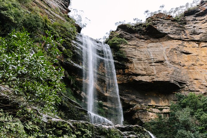 Sydney Blue Mountains Day Tour with Wildlife Park and Waterfalls - Key highlights to know before you go