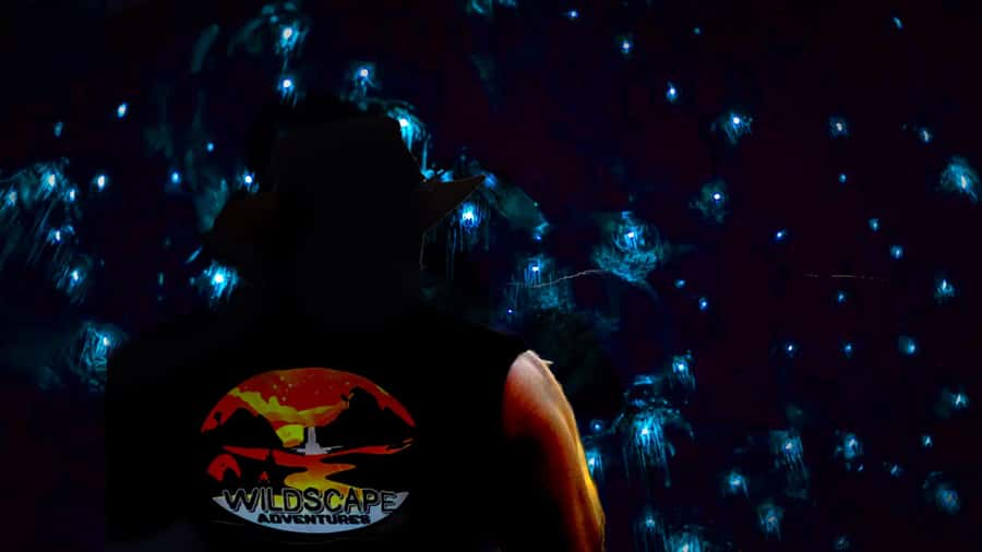 Sydney: Blue Mountains Glow Worms Wild Adventure by Night - Key Highlights You’ll Actually Feel on This Tour