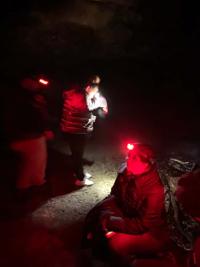 Sydney: Blue Mountains Glow Worms Wild Adventure by Night - Wildlife Spottings: What You Can Hope For (and What to Do with Your Eyes)