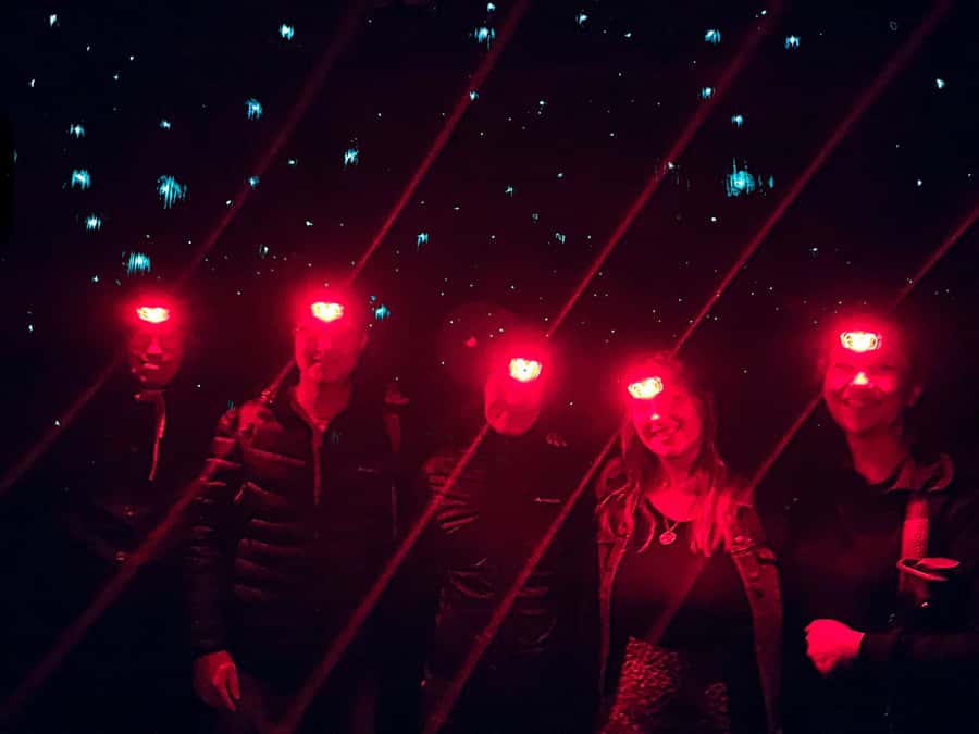Sydney: Blue Mountains Glow Worms Wild Adventure by Night - Timing and Pace: The 5 Hours from Sydney to Glow Worm Cave