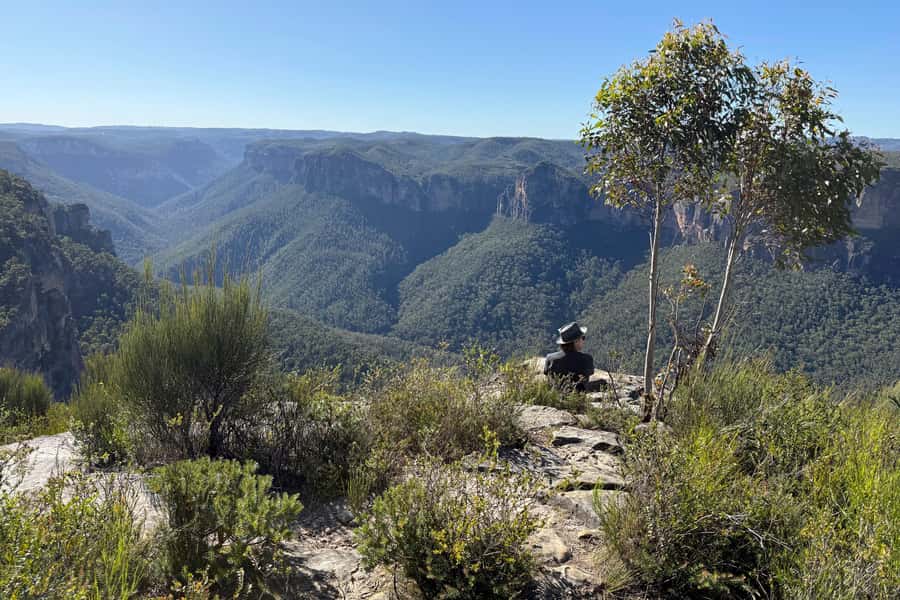 Sydney: Blue Mountains Kangaroos, Wilderness and Sunset Tour - What to pack and wear for a comfortable, doable day