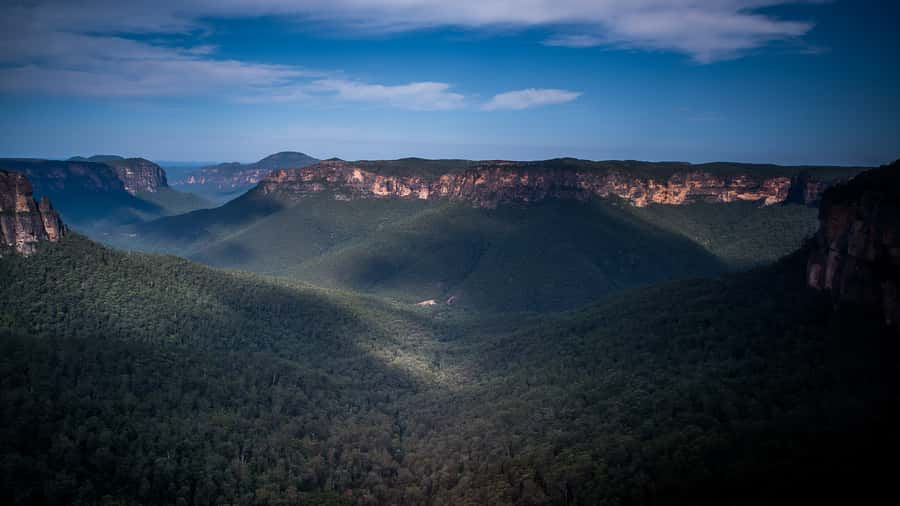 Sydney: Blue Mountains Late Start, Walks Waterfalls & Koalas - The Working Farm Koala VIP Moment (And Yes, It’s the Main Event)