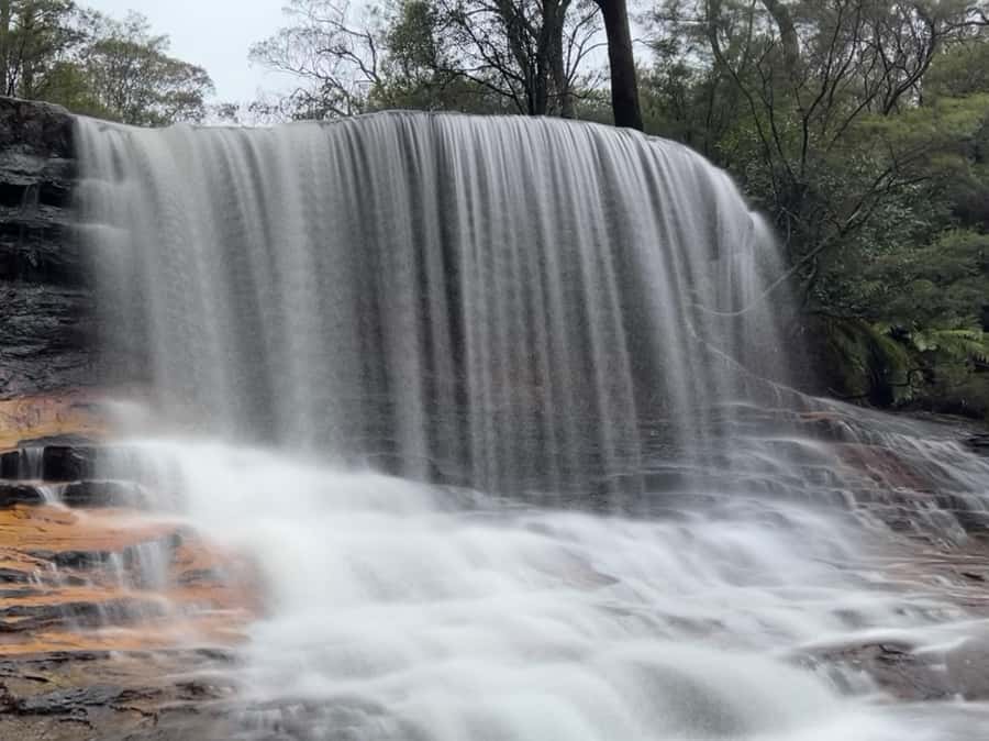 Sydney: Blue Mountains National Park Tour with River Cruise - Kings Tableland and Evans Lookout, the Views Away from the Crowd
