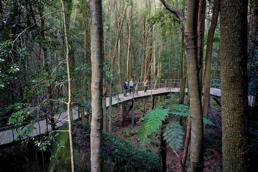 Sydney: Blue Mountains National Park Tour with River Cruise - Homebush Bay Olympic Park and the River Cruise Back to the Harbor