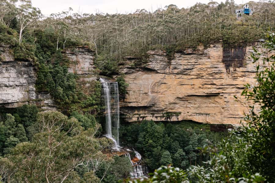 Sydney: Blue Mountains Scenic World, Wildlife Park and Lunch - What the Group Day Feels Like in Real Life