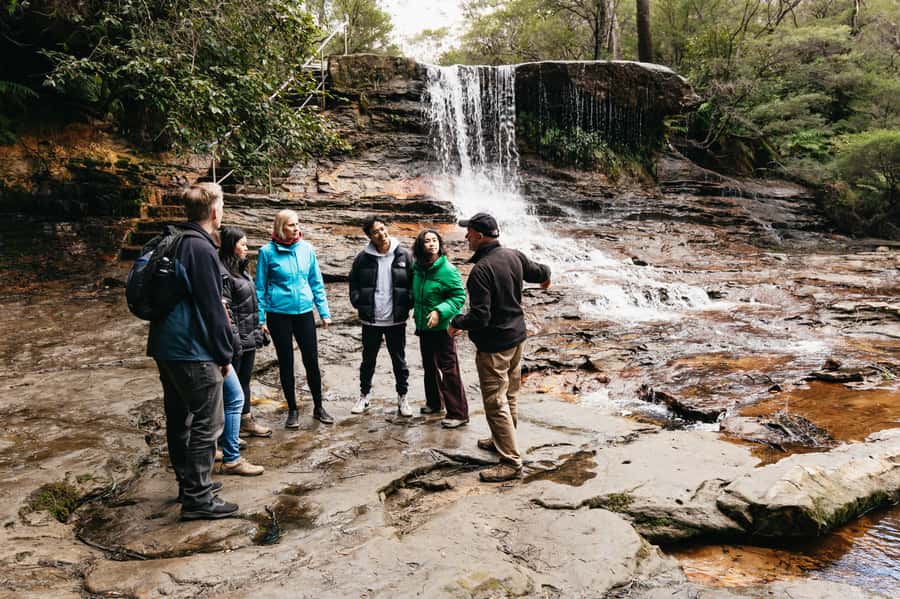 Sydney: Blue Mountains Wildlife & Bushwalk Small-Group Tour - Should you book this Blue Mountains Wildlife and Bushwalk Tour?