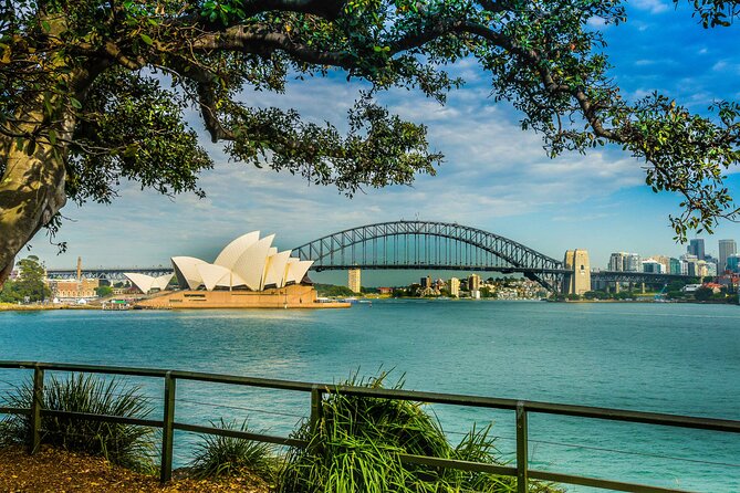 Sydney Combo: Morning Sightseeing to Bondi & Harbour Lunch Cruise - From The Rocks to Mrs Macquarie’s Chair, the morning builds your bearings
