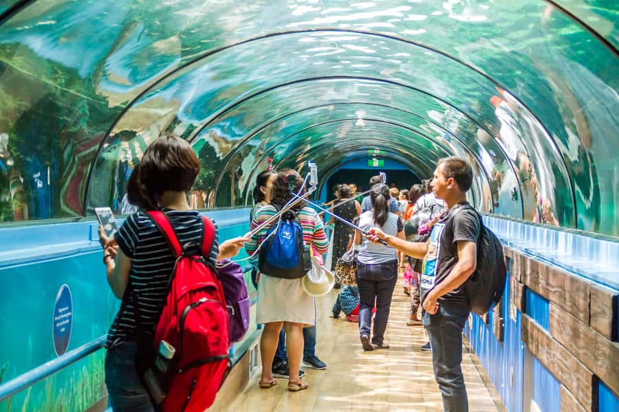 Sydney: Combo Pass for 2, 3, or 4 Top City Attractions - Darling Harbour begins: SEA LIFE Sydney (Aquarium) first