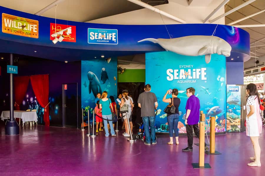 Sydney: Combo Pass for 2, 3, or 4 Top City Attractions - Wild Life Sydney: Aussie animals, right in the city