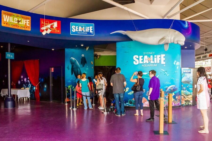 Sydney: Combo Pass for 2, 3, or 4 Top City Attractions - Price and value: who gets the best deal