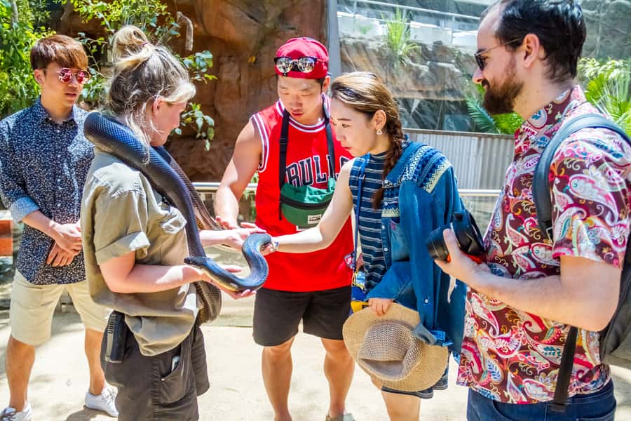 Sydney: Combo Pass for 2, 3, or 4 Top City Attractions - What you actually get, and how entry works