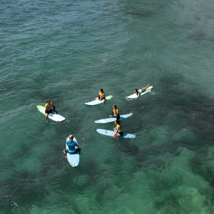 Sydney: Dee Why Beach Group Surfing Lesson - Price and value: is $53 worth it?