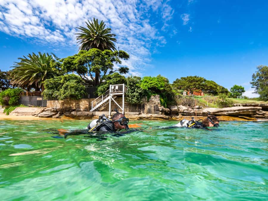 Sydney: Discover Scuba Dive at Australia's most Iconic Beach - Key Points You’ll Care About