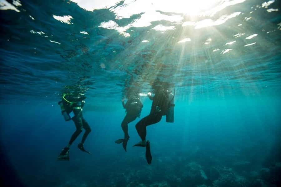 Sydney: Discover Scuba Dive at Australia's most Iconic Beach - Bondi Beach, Up Close and Underwater
