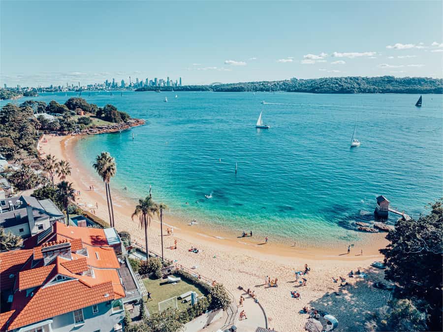 Sydney: Discover Scuba Dive at Australia's most Iconic Beach - Marine Life Off Bondi: What You Might See