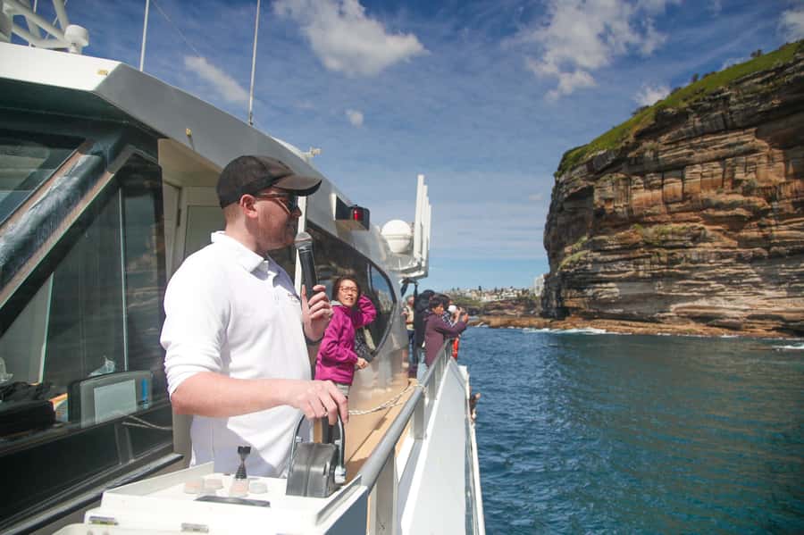 Sydney: Discovery Whale Watching Tour by Catamaran - Onboard Photographer: Nice Convenience, Optional Purchase