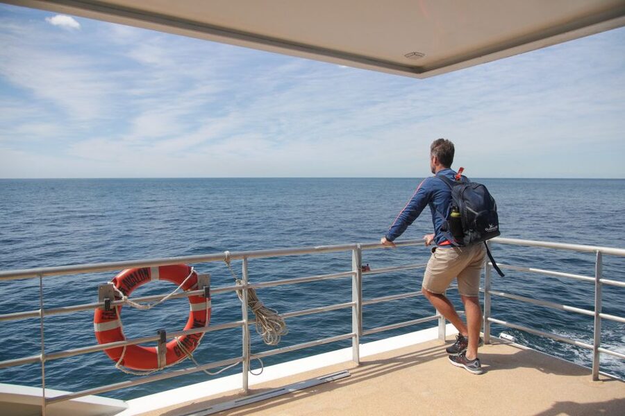 Sydney: Discovery Whale Watching Tour by Catamaran - Price and Value: Is $63 a Good Deal?