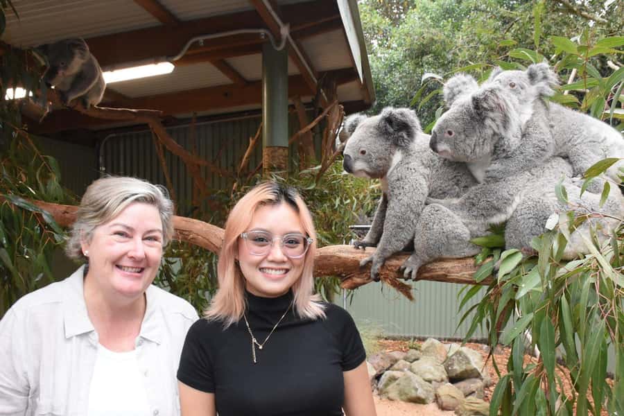 Sydney: Featherdale Wildlife Park Private Tour - Should You Book the Sydney Featherdale Private Tour?
