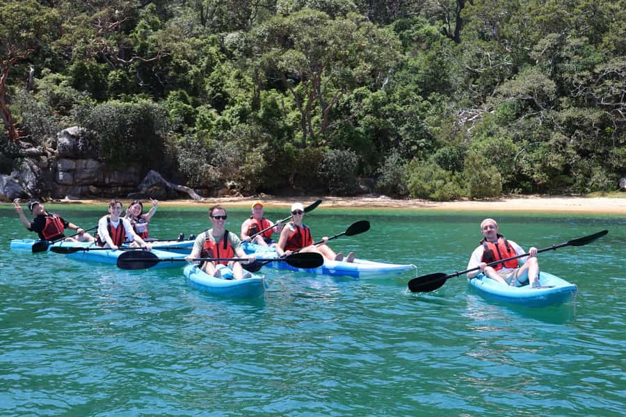 Sydney: Guided Kayak Tour of Manly Cove Beaches - Key highlights worth planning around