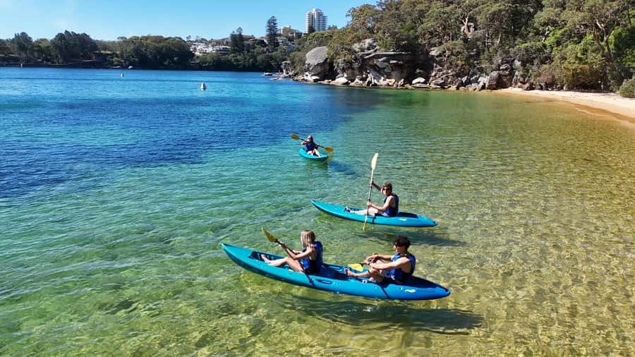 Sydney: Guided Kayak Tour of Manly Cove Beaches - Who this tour is best for, based on what people say works