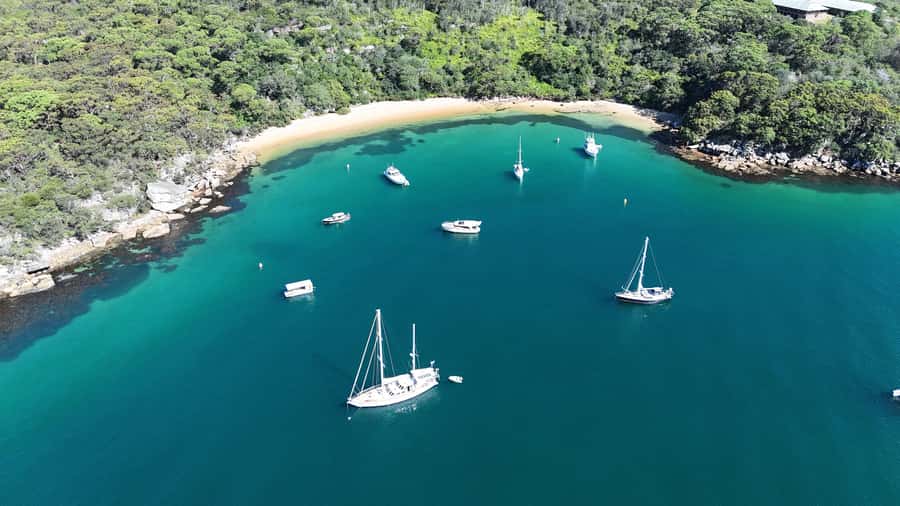 Sydney: Guided Kayak Tour of Manly Cove Beaches - Value for $67: what you get for the money and why it matters
