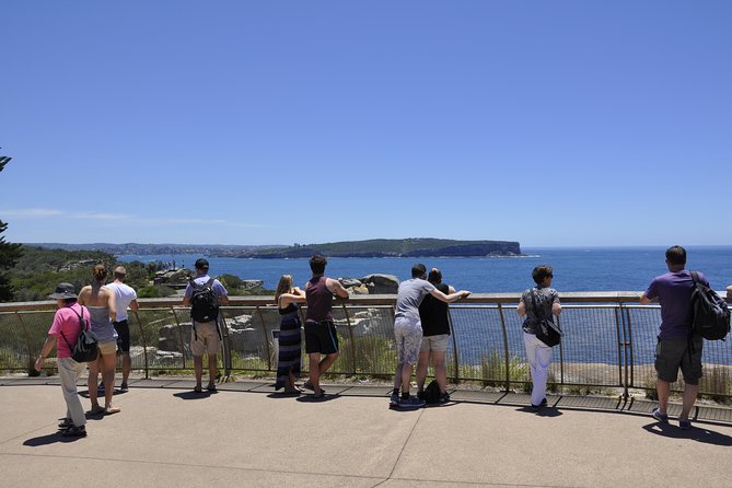 Sydney Guided Sightseeing Bus Tour - Key highlights to know before you go