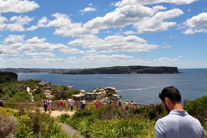 Sydney Guided Sightseeing Bus Tour - Price and value for this 3.5-hour Sydney hit