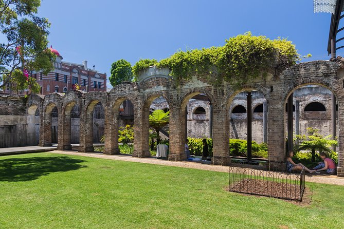 Sydney Guided Sightseeing Bus Tour - The harbor-to-neighborhood sweep: Potts Point, Kings Cross, and a snack stop option