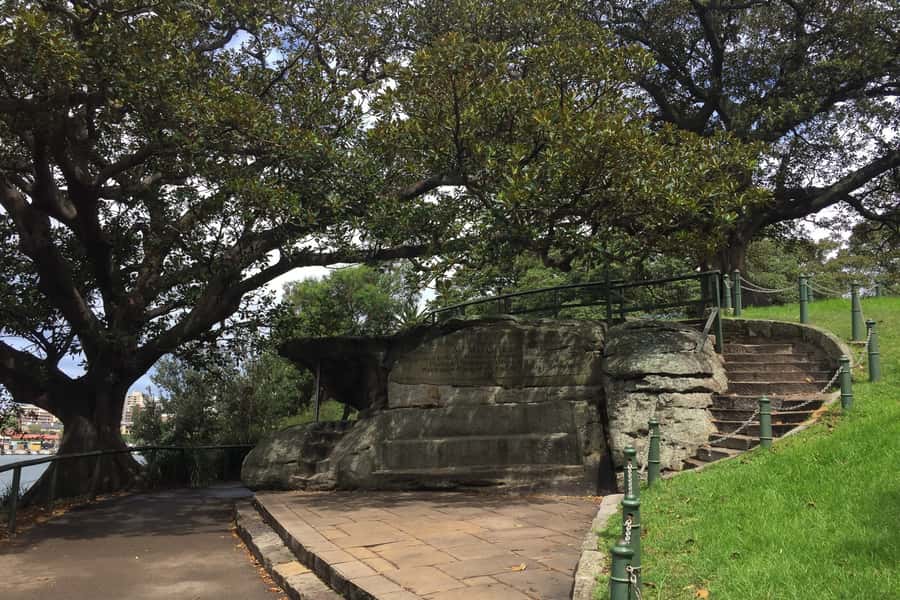 Sydney: Half-Day City Tour - Should you book this half-day Sydney city tour with Dingo Tours?