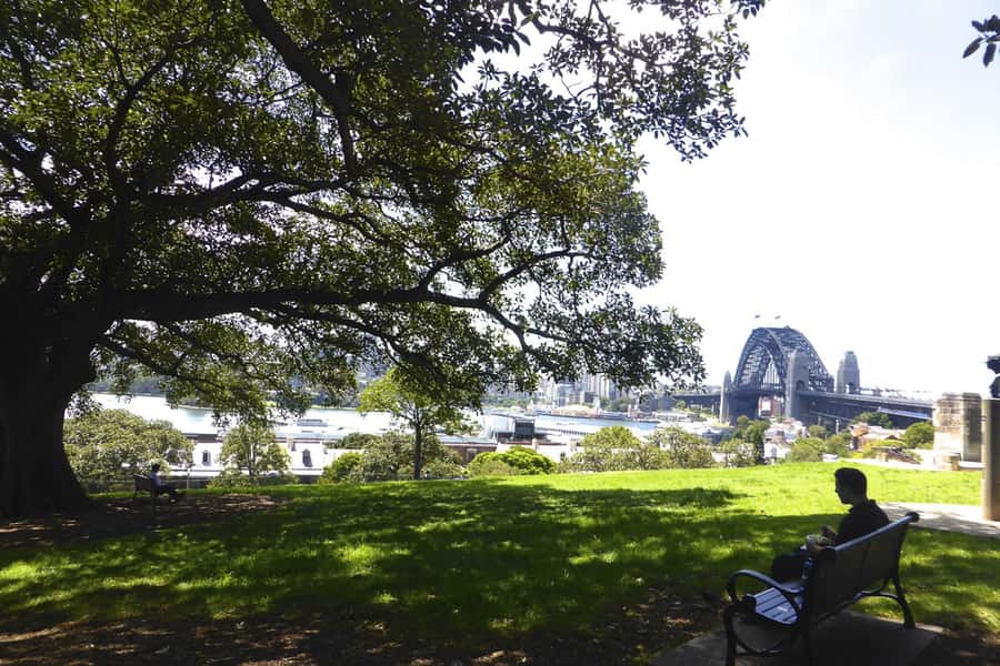 Sydney: Half-Day City Tour - Darling Point to Rose Bay: posh harbours and flying ships