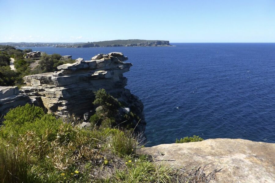 Sydney: Half-Day City Tour - Paddington through Chinatown to Darling Harbour: food and nightlife areas