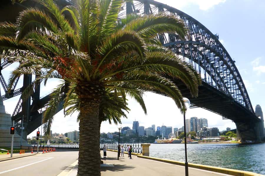 Sydney: Half-Day City Tour - Small-group comfort and hotel pickup basics