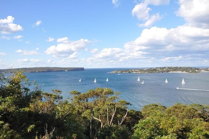 Sydney Half Day Private Tour - Balmoral Beach and Watsons Bay views on the same morning