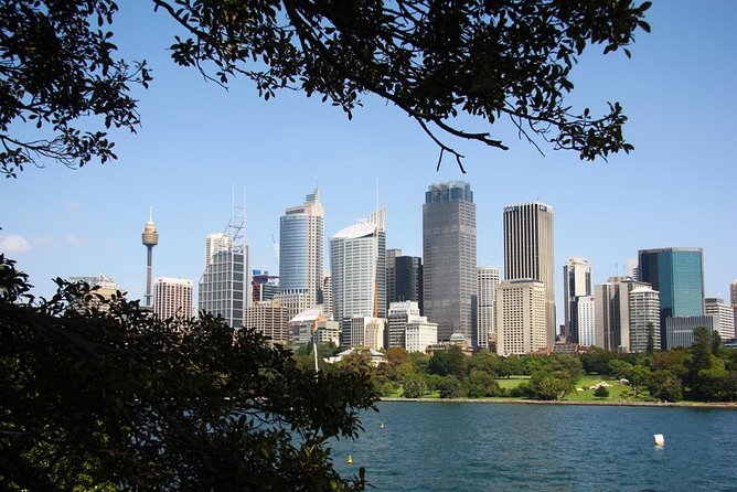 Sydney Half Day Private Tour: See Sydney Opera House and Bondi - Key Highlights You’ll Feel Right Away