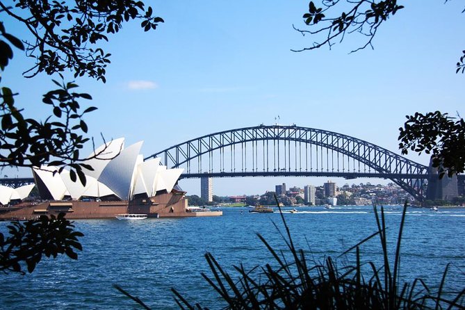 Sydney Half Day Private Tour: See Sydney Opera House and Bondi - Getting Your Bearings Fast With a Private Driver-Guide