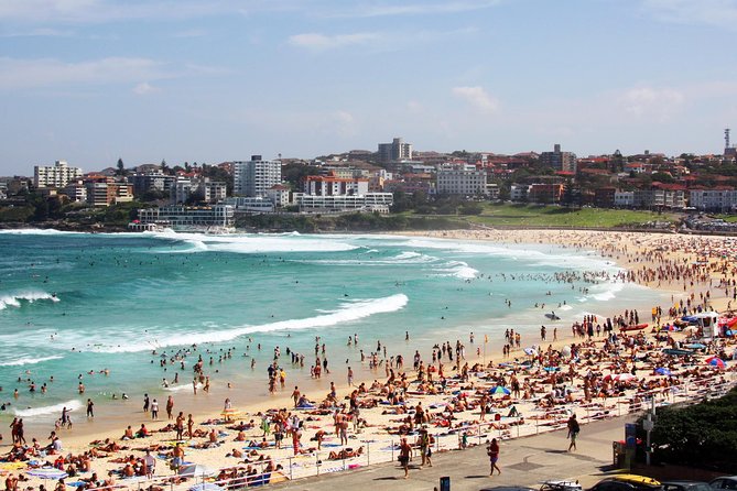 Sydney Half Day Private Tour: See Sydney Opera House and Bondi - Price, Included Costs, and How to Judge Value at $297.66 Per Person