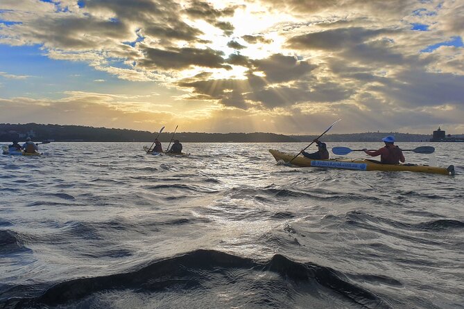 Sydney Harbour Bridge Kayak & Breakfast Tour - Your route: Opera House to Harbour Bridge to Lavender Bay breakfast