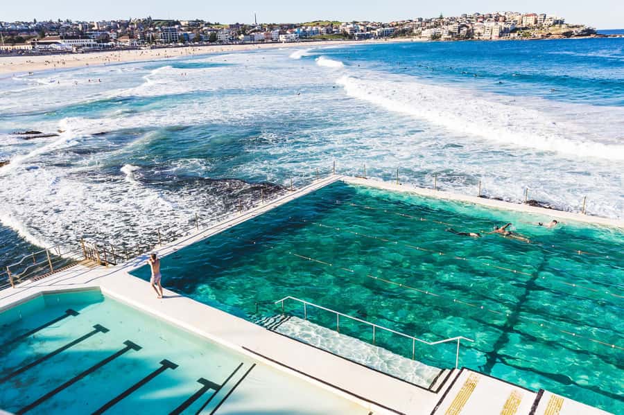 Sydney Harbour to Bondi: Small Group Half–Day Experience - Starting with hotel pickup, then getting your bearings