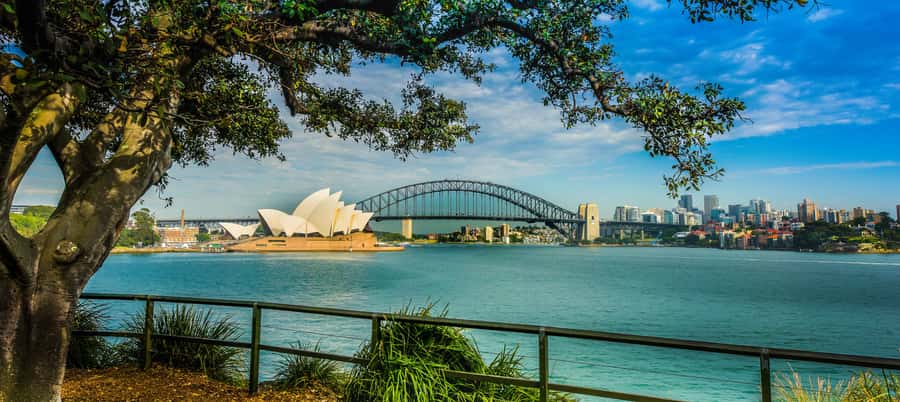 Sydney Harbour to Bondi: Small Group Half–Day Experience - Harbor icons from above: Opera House and Harbour Bridge context