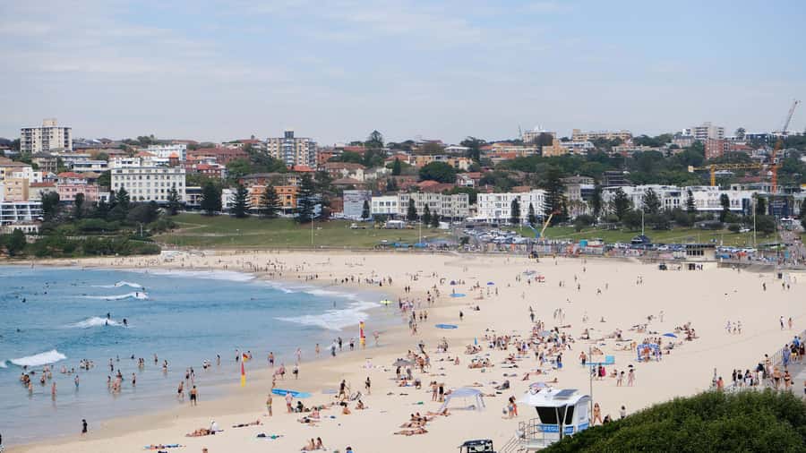 Sydney Harbour to Bondi: Small Group Half–Day Experience - Dover Heights: where the harbor becomes a big picture