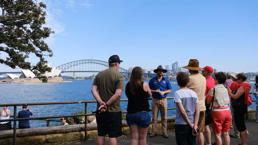 Sydney Harbour to Bondi: Small Group Half–Day Experience - Returning via Double Bay, Kings Cross, and Mrs Macquarie’s Point