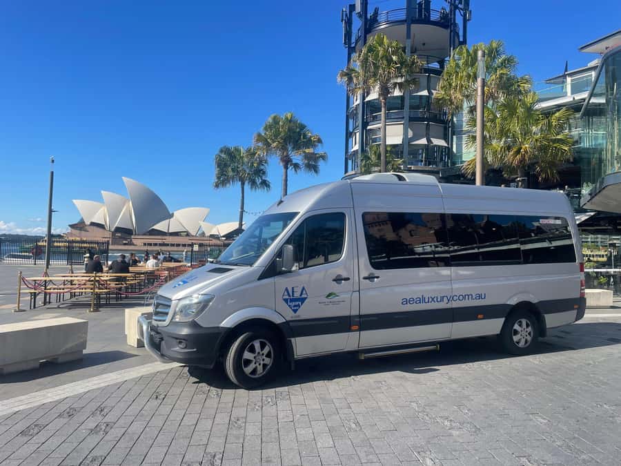 Sydney Harbour to Bondi: Small Group Half–Day Experience - The Rocks: old streets, convict stories, and photo-worthy lanes