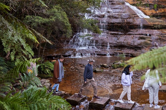 Sydney: Luxury Blue Mountains Adventure as a Small Group Day Tour - Key points before you go