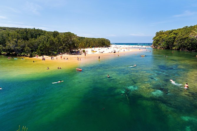 Sydney: Luxury Blue Mountains Adventure as a Small Group Day Tour - Wentworth Falls guided bush walk: views plus an easier route choice