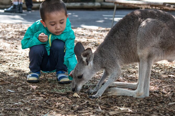 Sydney: Luxury Blue Mountains Adventure as a Small Group Day Tour - Leura Mall lunch stop: use the free hour well