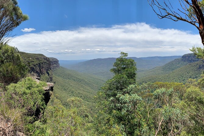 Sydney: Luxury Blue Mountains Adventure as a Small Group Day Tour - Price and value: what $204.41 covers in real-world terms