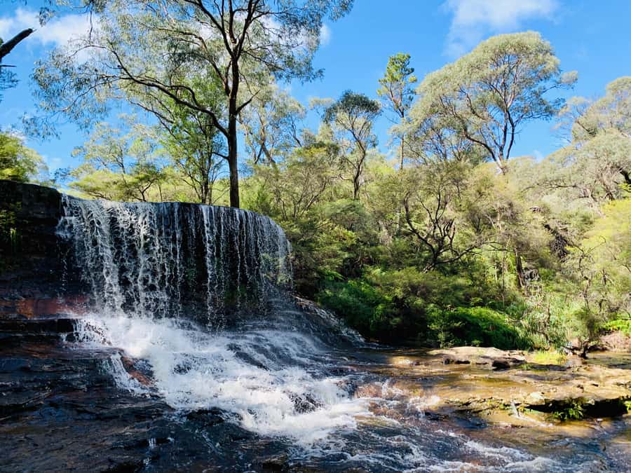 Sydney: Luxury Blue Mountains Adventure with Wentworth Falls - Key things that make this Blue Mountains tour work